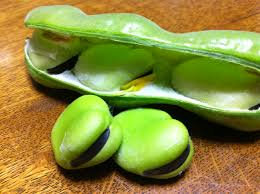 今月の旨味はこれ!